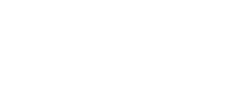 WAV Logo